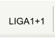 LIGA1+1
