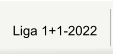 Liga 1+1-2022