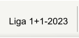 Liga 1+1-2023