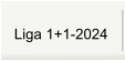 Liga 1+1-2024