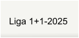 Liga 1+1-2025