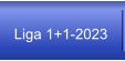 Liga 1+1-2023