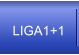 LIGA1+1