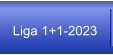Liga 1+1-2023