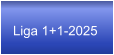 Liga 1+1-2025